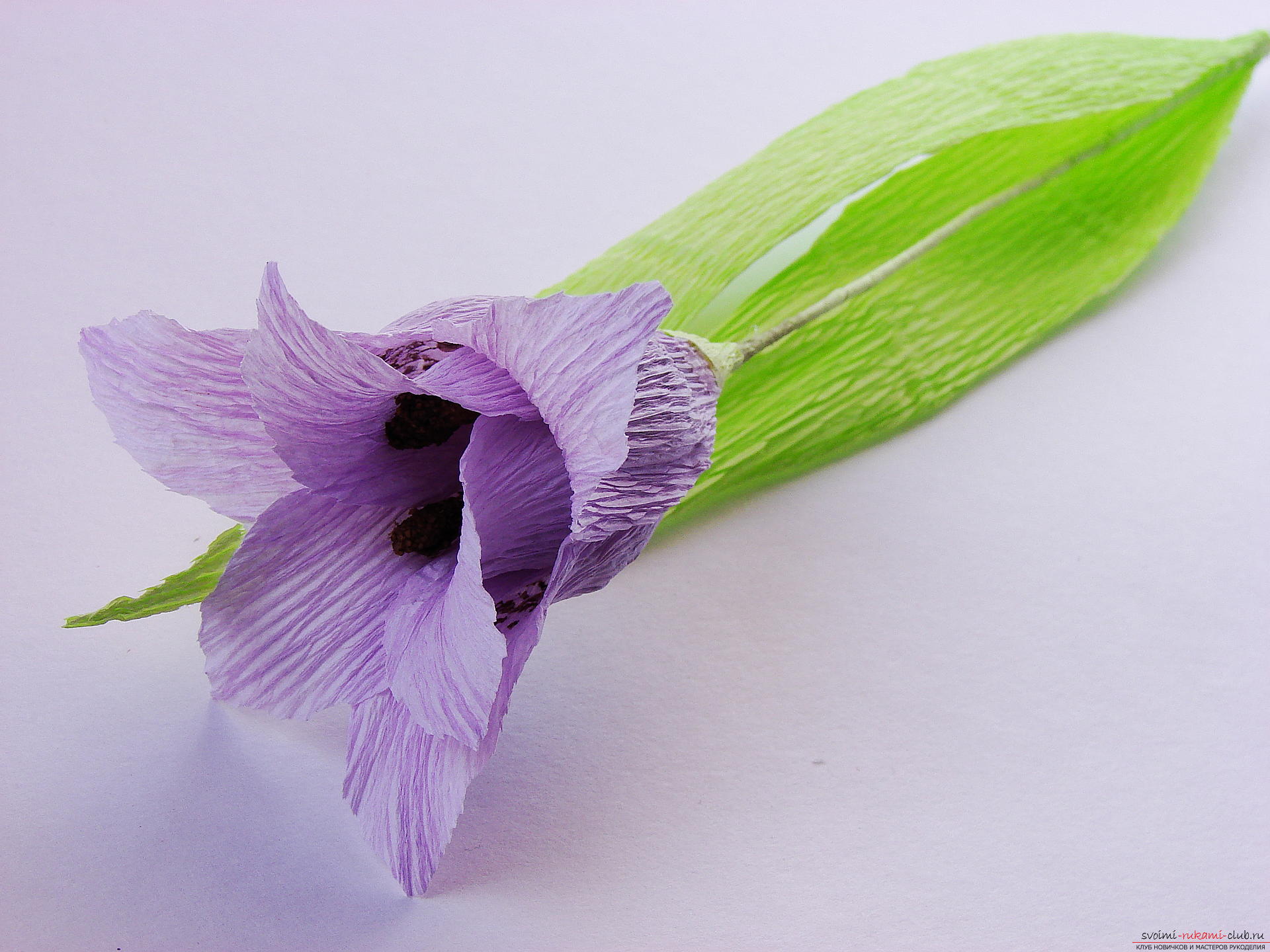 Мастер-класс научит как сделать гофрированные цветы своими руками – лилии из гофрированной бумаги.. Фото №34